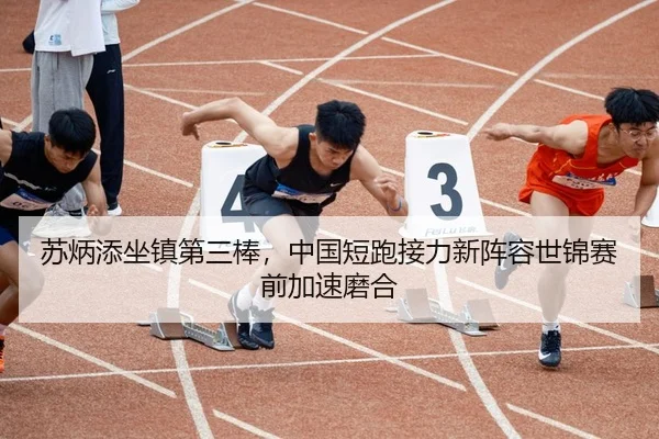 苏炳添坐镇第三棒，中国短跑接力新阵容世锦赛前加速磨合