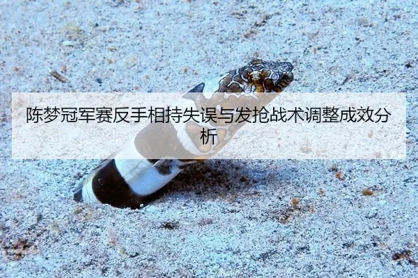 chen-meng-guan-jun-sai-fan-shou-xiang-chi-shi-wu-yu-fa-qiang-zhan-shu-tiao-zheng-cheng-xiao-fen-xi-2-163.jpg