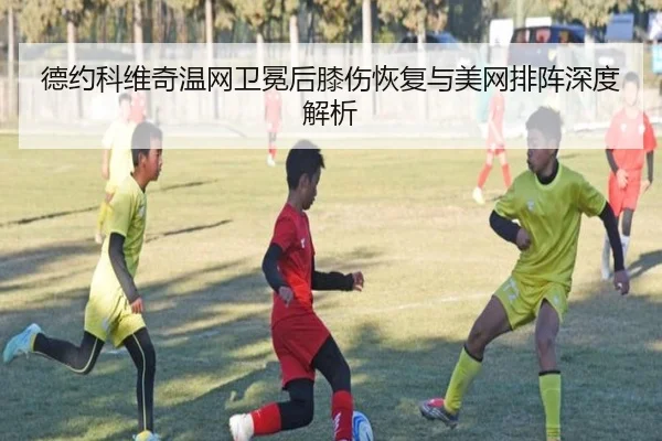 de-yue-ke-wei-qi-wen-wang-wei-mian-hou-xi-shang-hui-fu-yu-mei-wang-pai-zhen-shen-du-jie-xi-2-602.jpg
