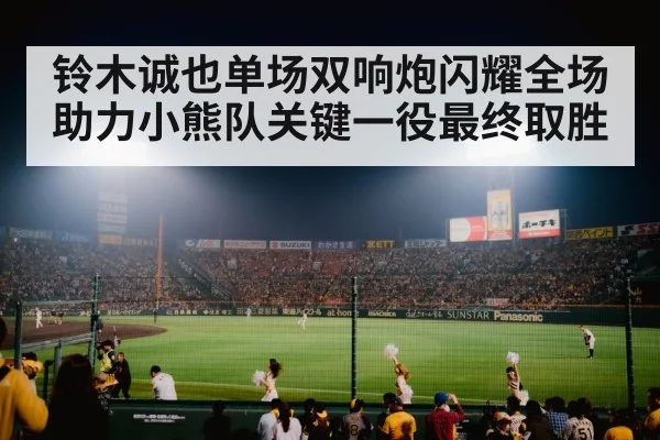 baseball stadium night game